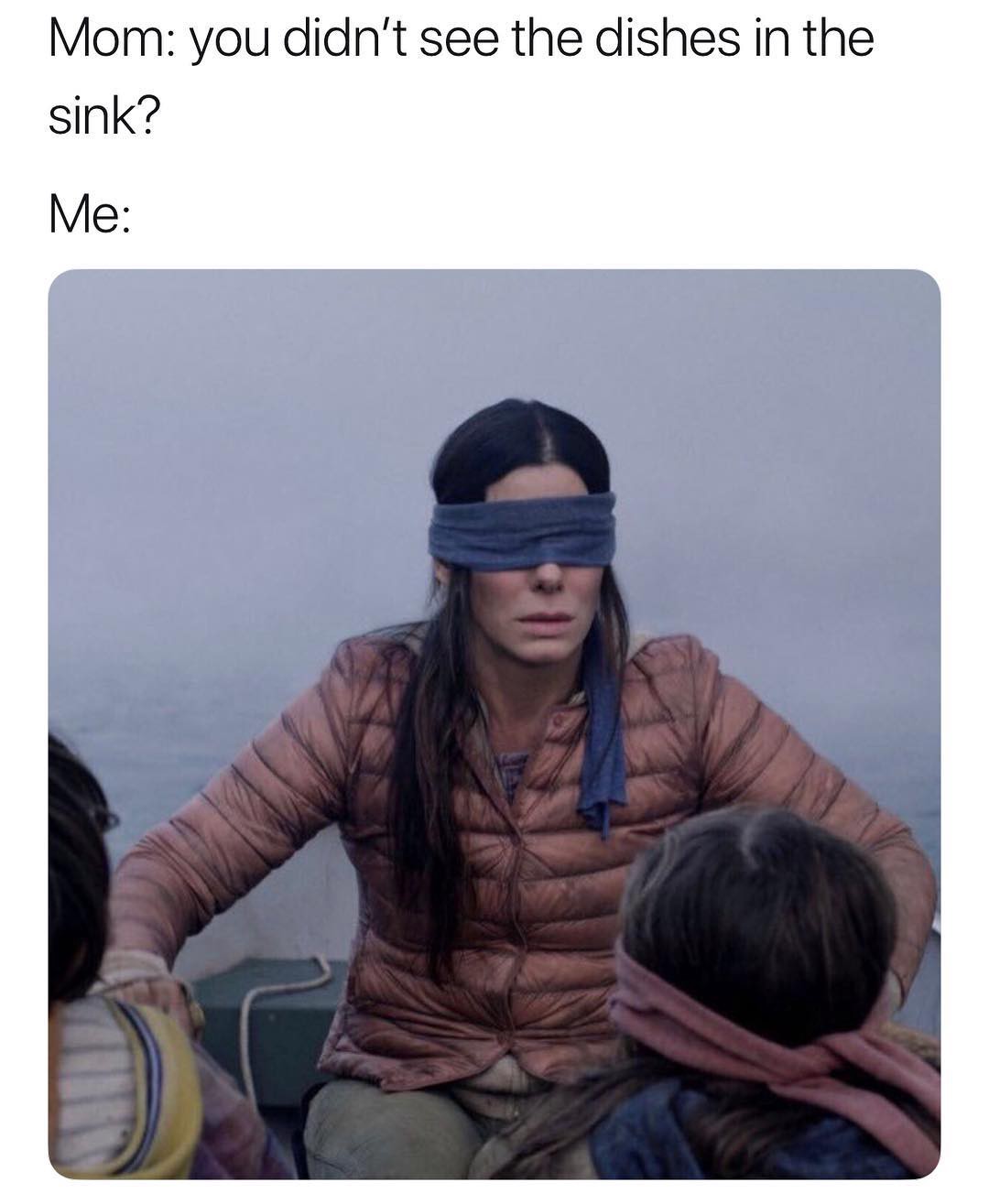 Detail Bird Box Meme Nomer 22