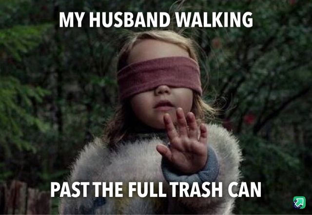 Detail Bird Box Meme Nomer 25
