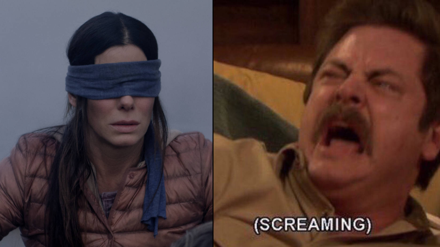 Detail Bird Box Meme Nomer 26