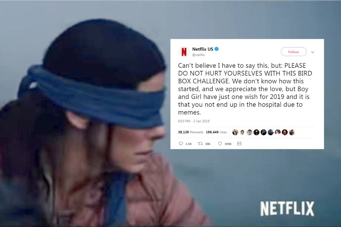 Detail Bird Box Meme Nomer 27