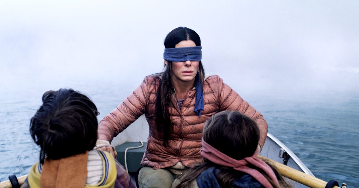 Detail Bird Box Meme Nomer 4