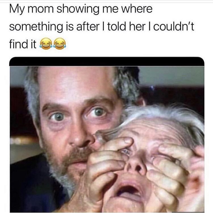 Detail Bird Box Meme Nomer 33