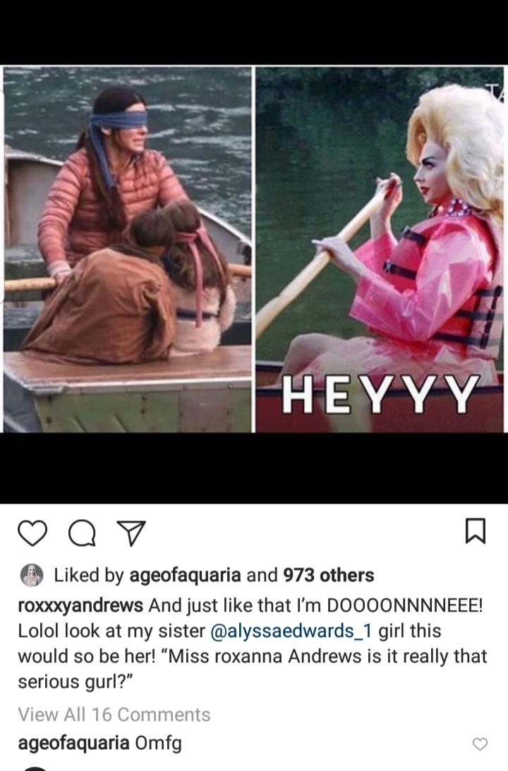 Detail Bird Box Meme Nomer 34