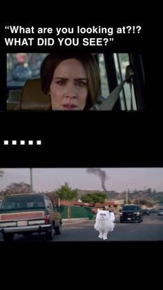 Detail Bird Box Meme Nomer 37