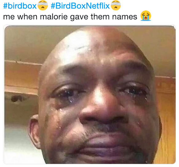 Detail Bird Box Meme Nomer 39