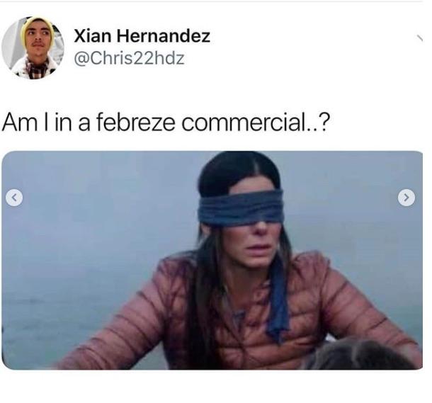 Detail Bird Box Meme Nomer 45