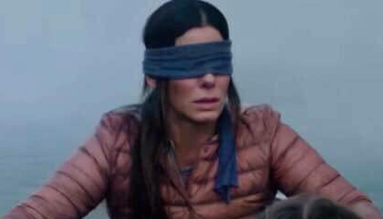 Detail Bird Box Meme Nomer 46