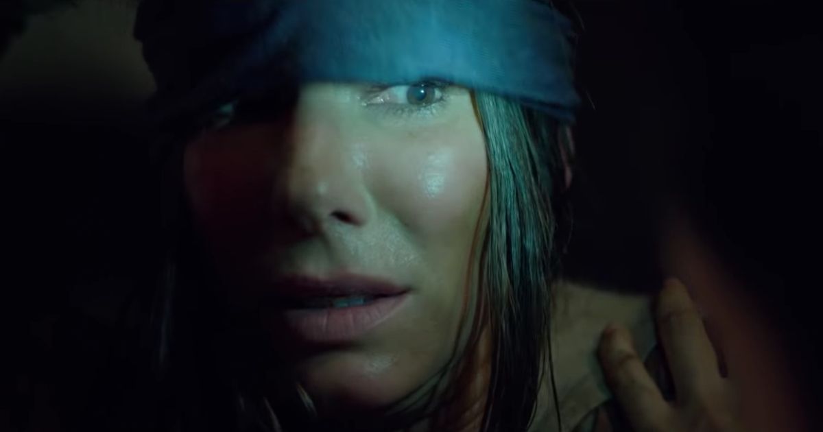 Detail Bird Box Meme Nomer 47
