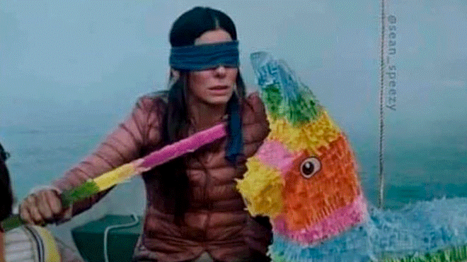 Detail Bird Box Meme Nomer 48