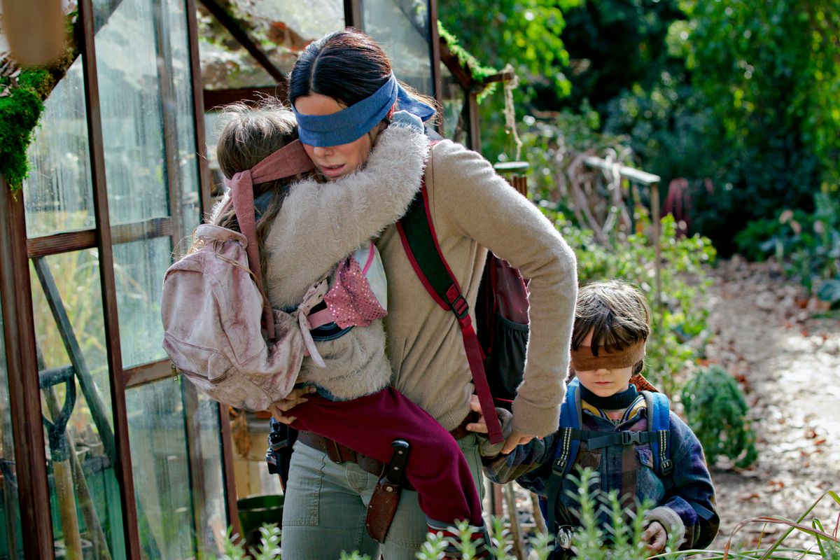 Detail Bird Box Meme Nomer 6