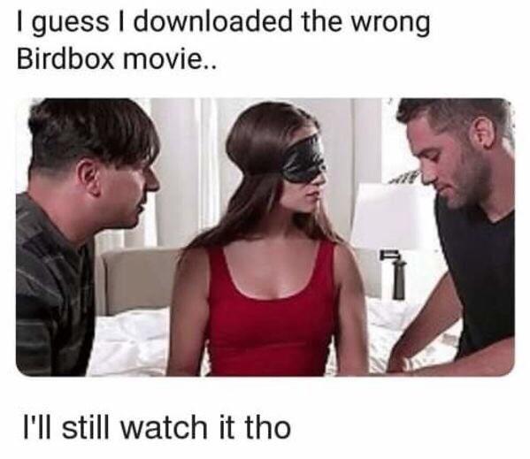 Detail Bird Box Meme Nomer 51