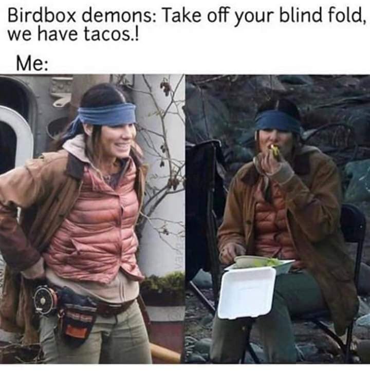 Detail Bird Box Meme Nomer 52