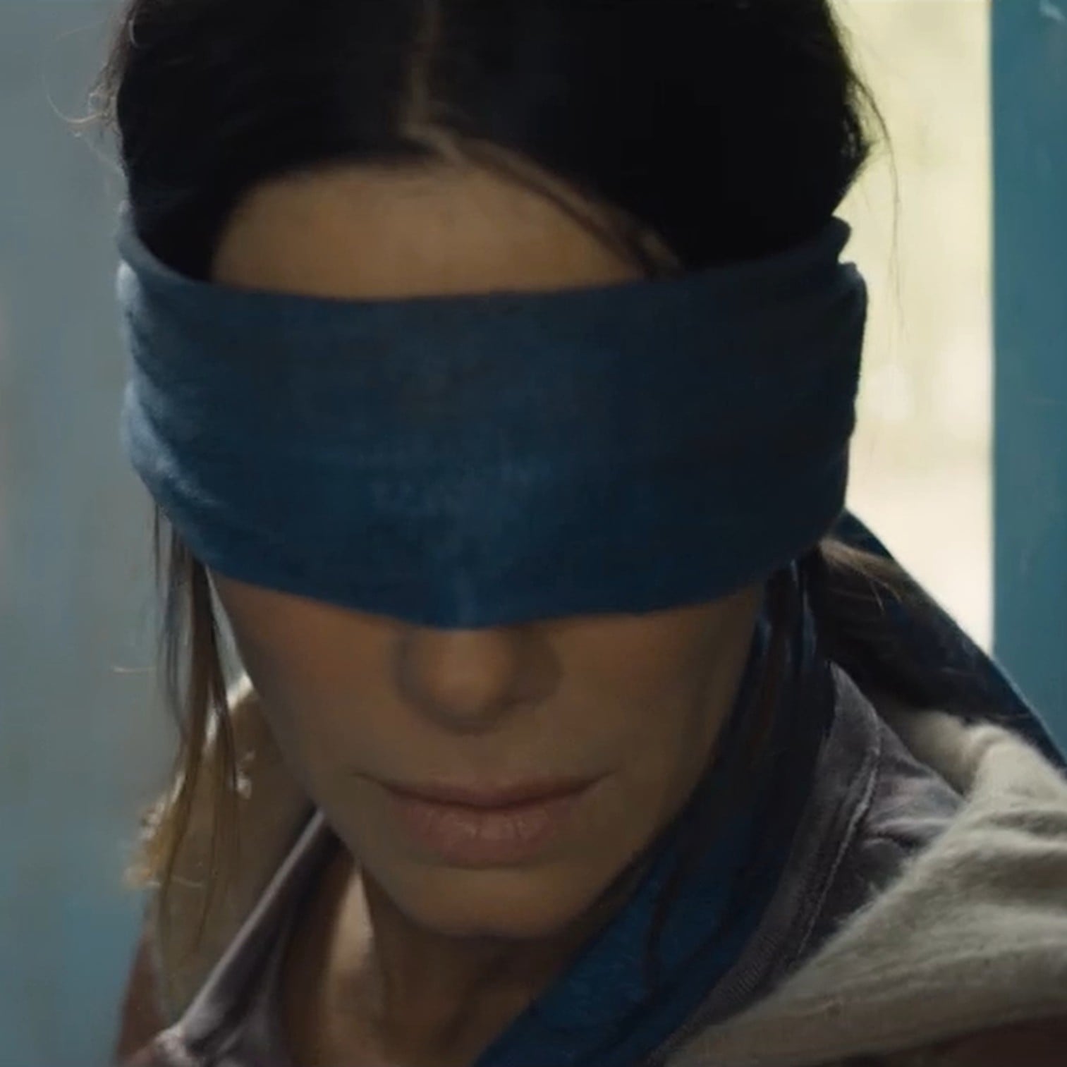 Detail Bird Box Meme Nomer 58