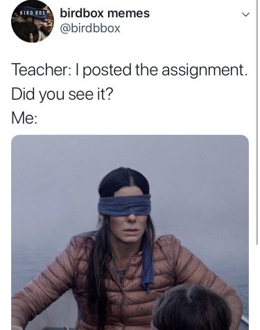 Detail Bird Box Meme Nomer 7