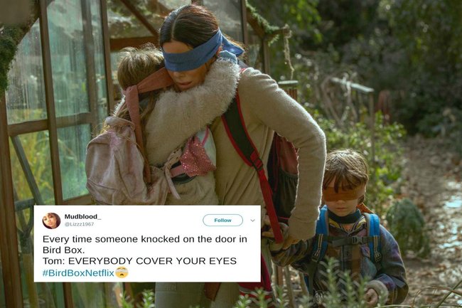 Detail Bird Box Meme Nomer 10