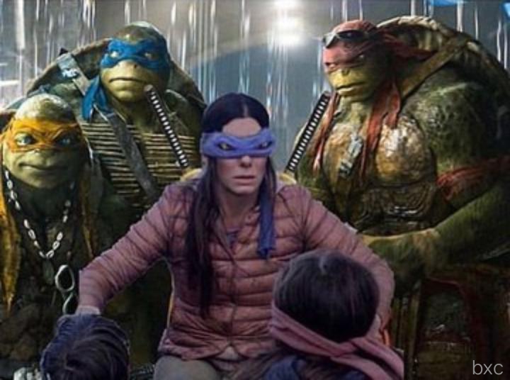 Bird Box Ninja Turtle Meme - KibrisPDR