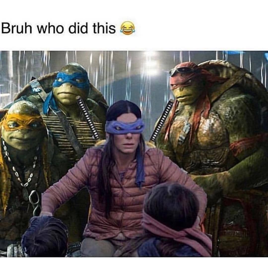 Detail Bird Box Ninja Turtle Meme Nomer 2