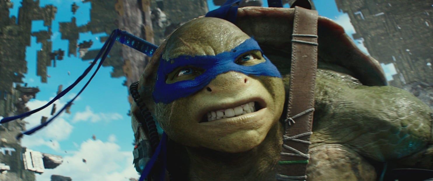 Detail Bird Box Ninja Turtle Meme Nomer 14