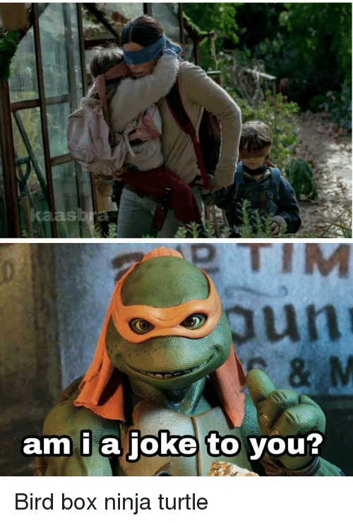 Detail Bird Box Ninja Turtle Meme Nomer 15