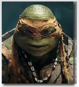 Detail Bird Box Ninja Turtle Meme Nomer 18