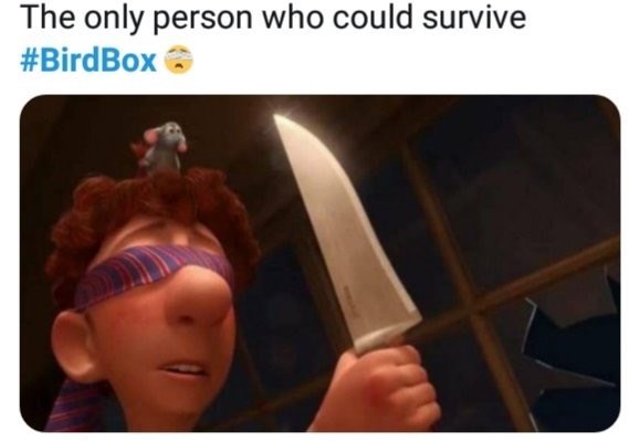 Detail Bird Box Ninja Turtle Meme Nomer 19