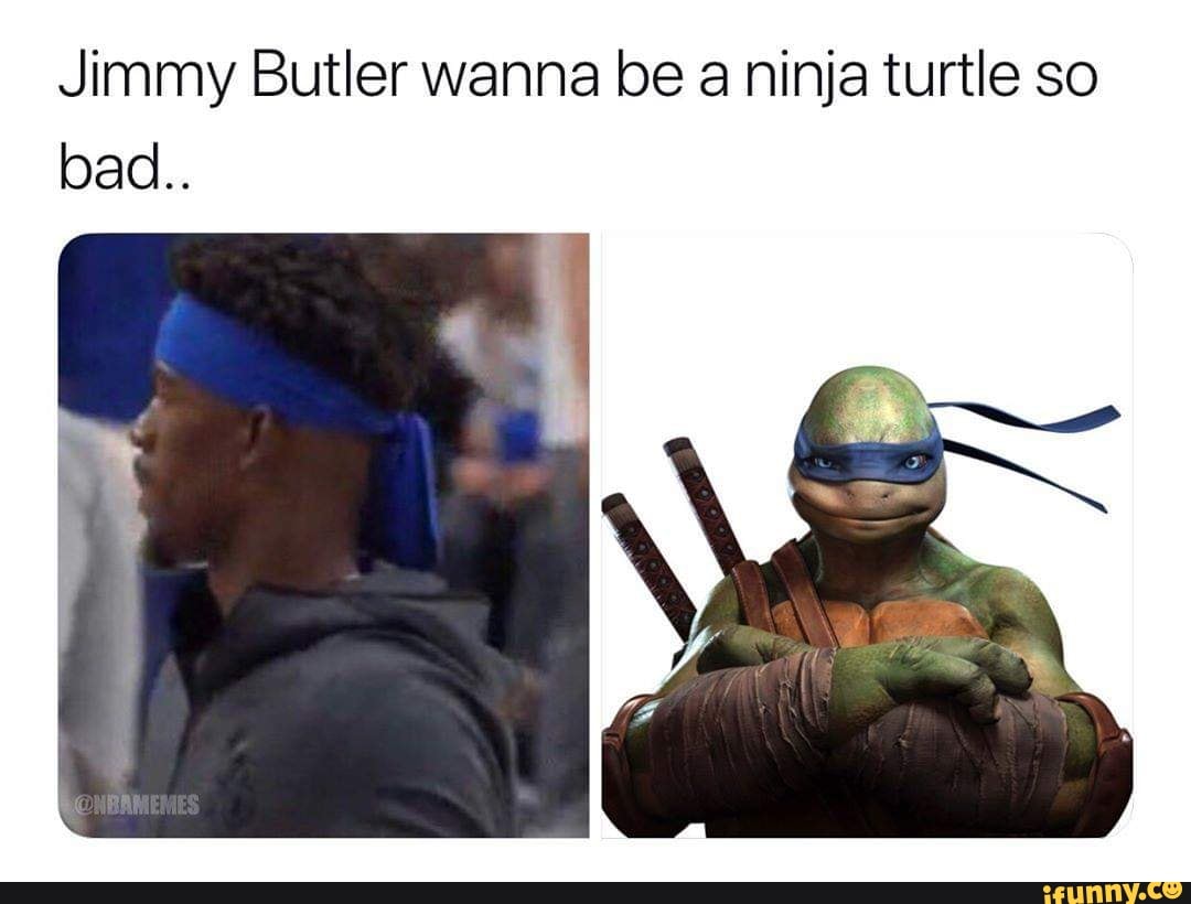 Detail Bird Box Ninja Turtle Meme Nomer 31