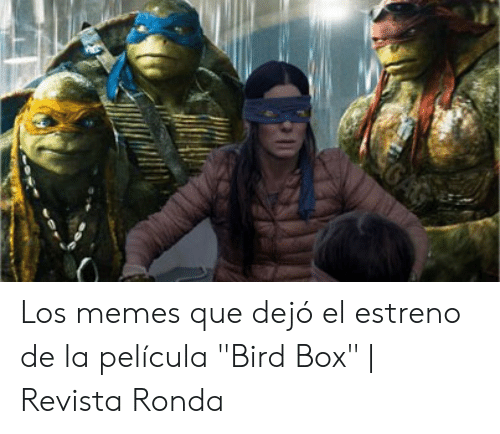 Detail Bird Box Ninja Turtle Meme Nomer 35