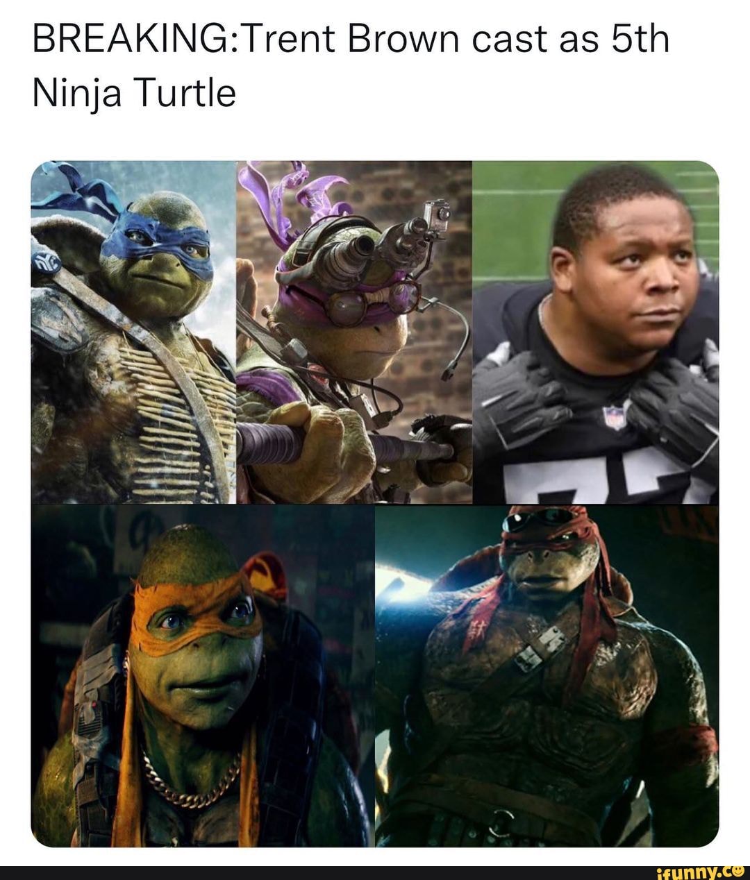 Detail Bird Box Ninja Turtle Meme Nomer 39