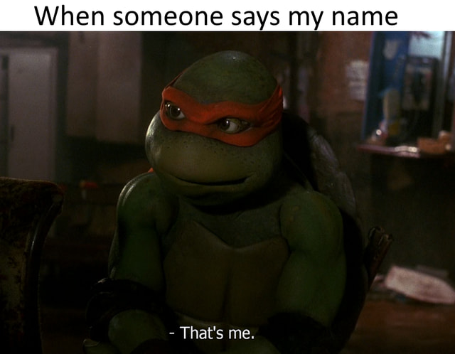 Detail Bird Box Ninja Turtle Meme Nomer 43