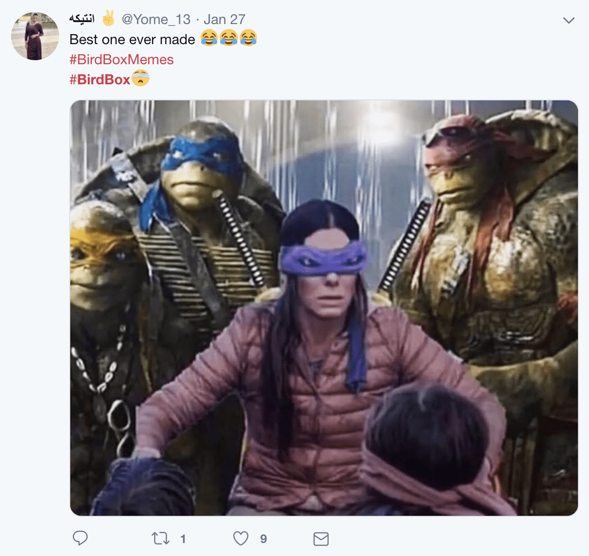 Detail Bird Box Ninja Turtle Meme Nomer 6