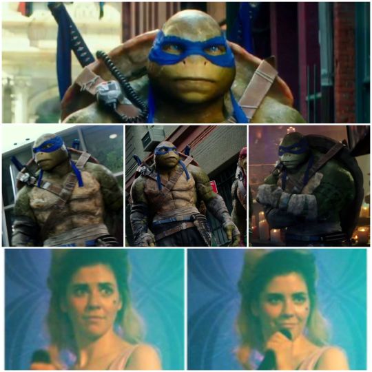 Detail Bird Box Ninja Turtle Meme Nomer 58