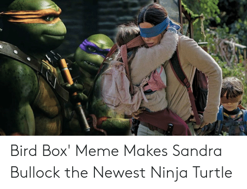 Detail Bird Box Ninja Turtle Meme Nomer 7