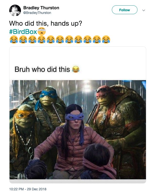 Detail Bird Box Ninja Turtle Meme Nomer 8