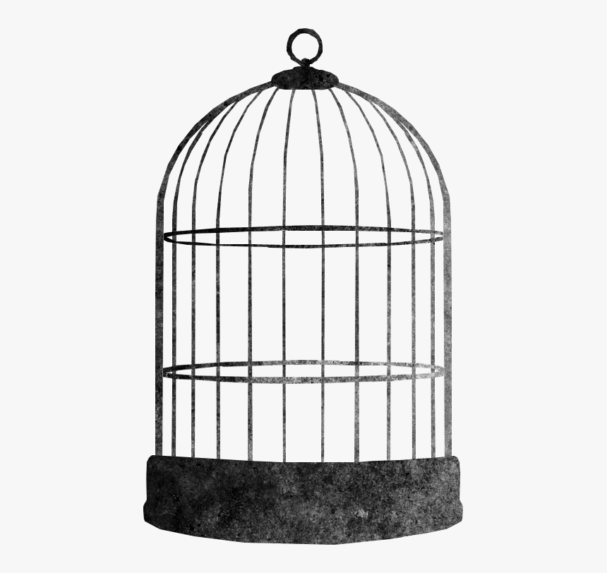 Bird Cage Png - KibrisPDR