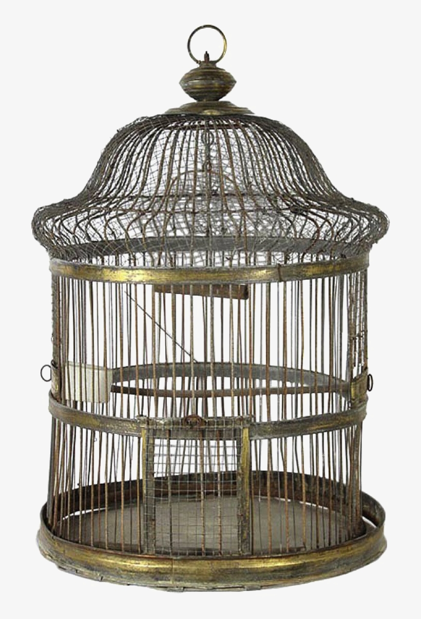 Detail Bird Cage Png Nomer 21