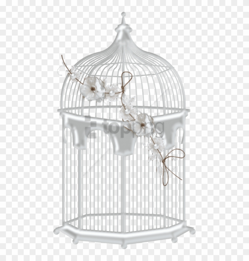 Detail Bird Cage Png Nomer 31