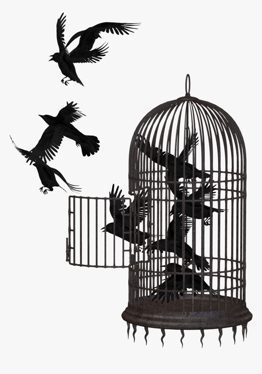 Detail Bird Cage Png Nomer 40