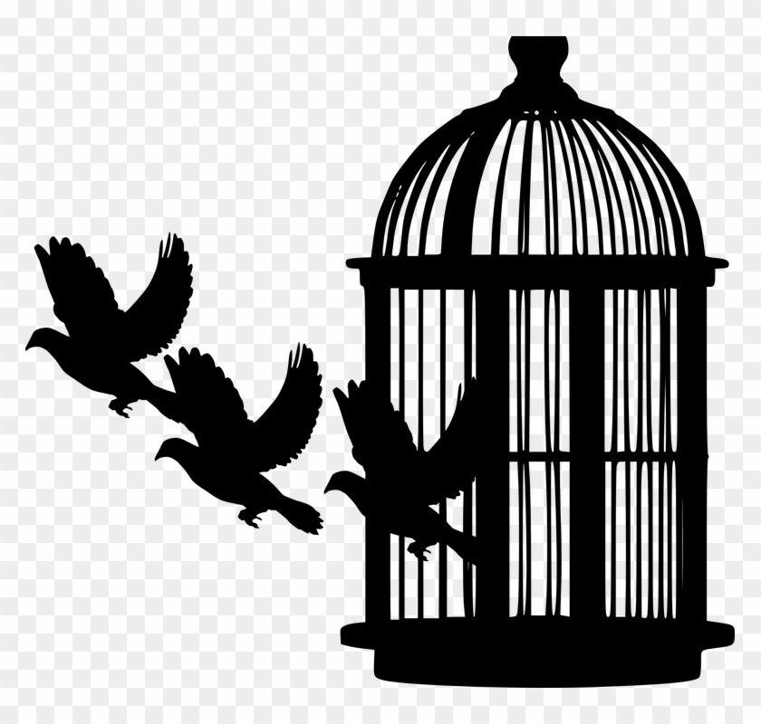 Detail Bird Cage Png Nomer 45