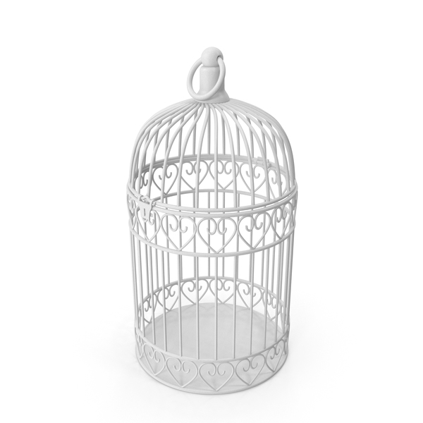 Detail Bird Cage Png Nomer 55