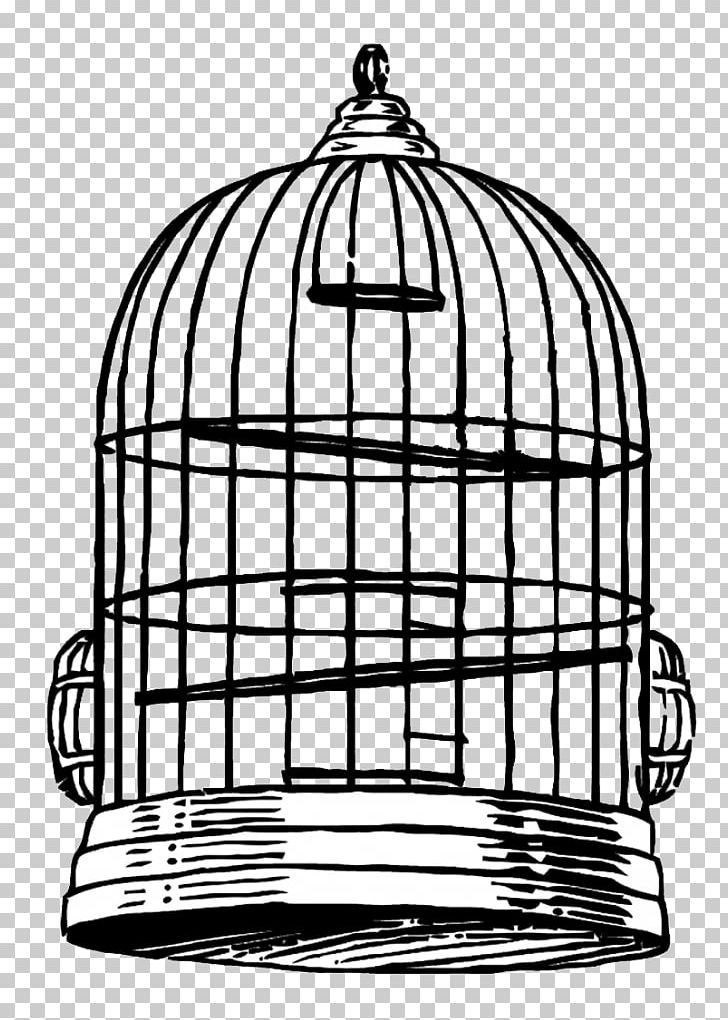 Detail Bird Cage Png Nomer 56