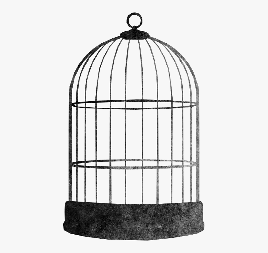 Bird Cage Transparent - KibrisPDR
