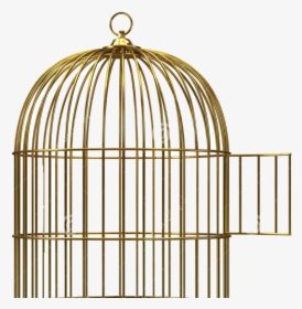 Detail Bird Cage Transparent Nomer 11