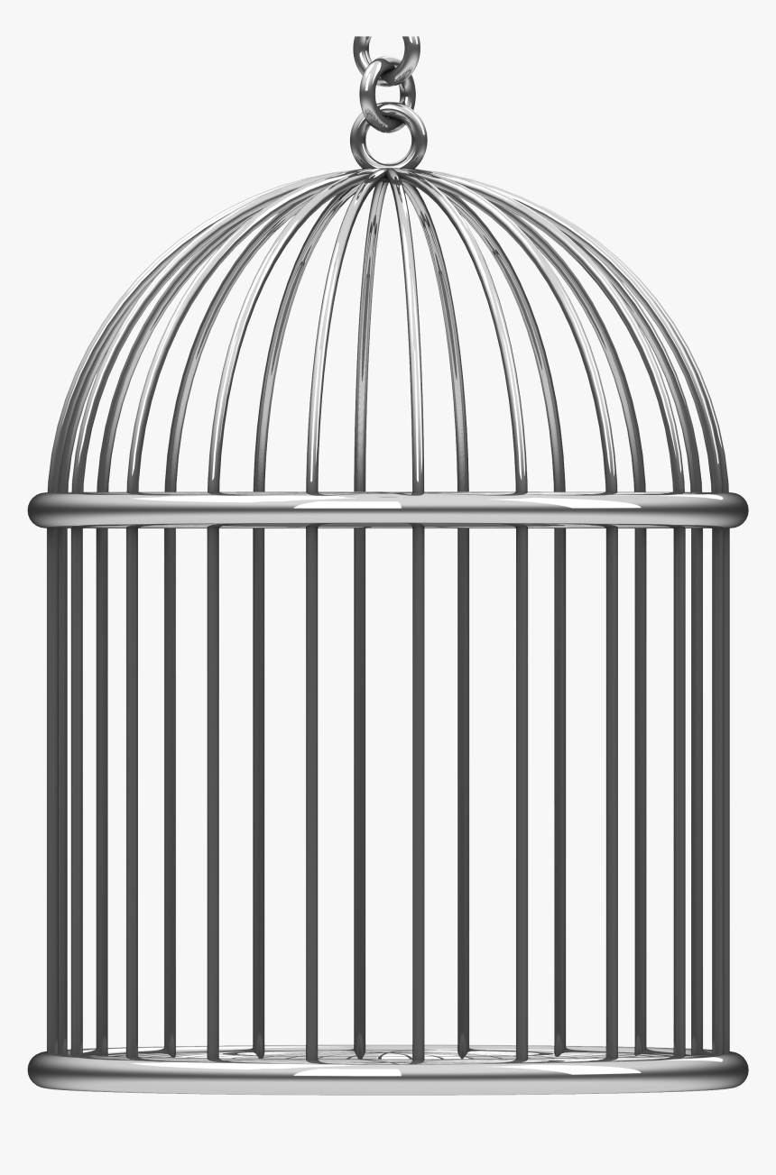 Detail Bird Cage Transparent Nomer 12