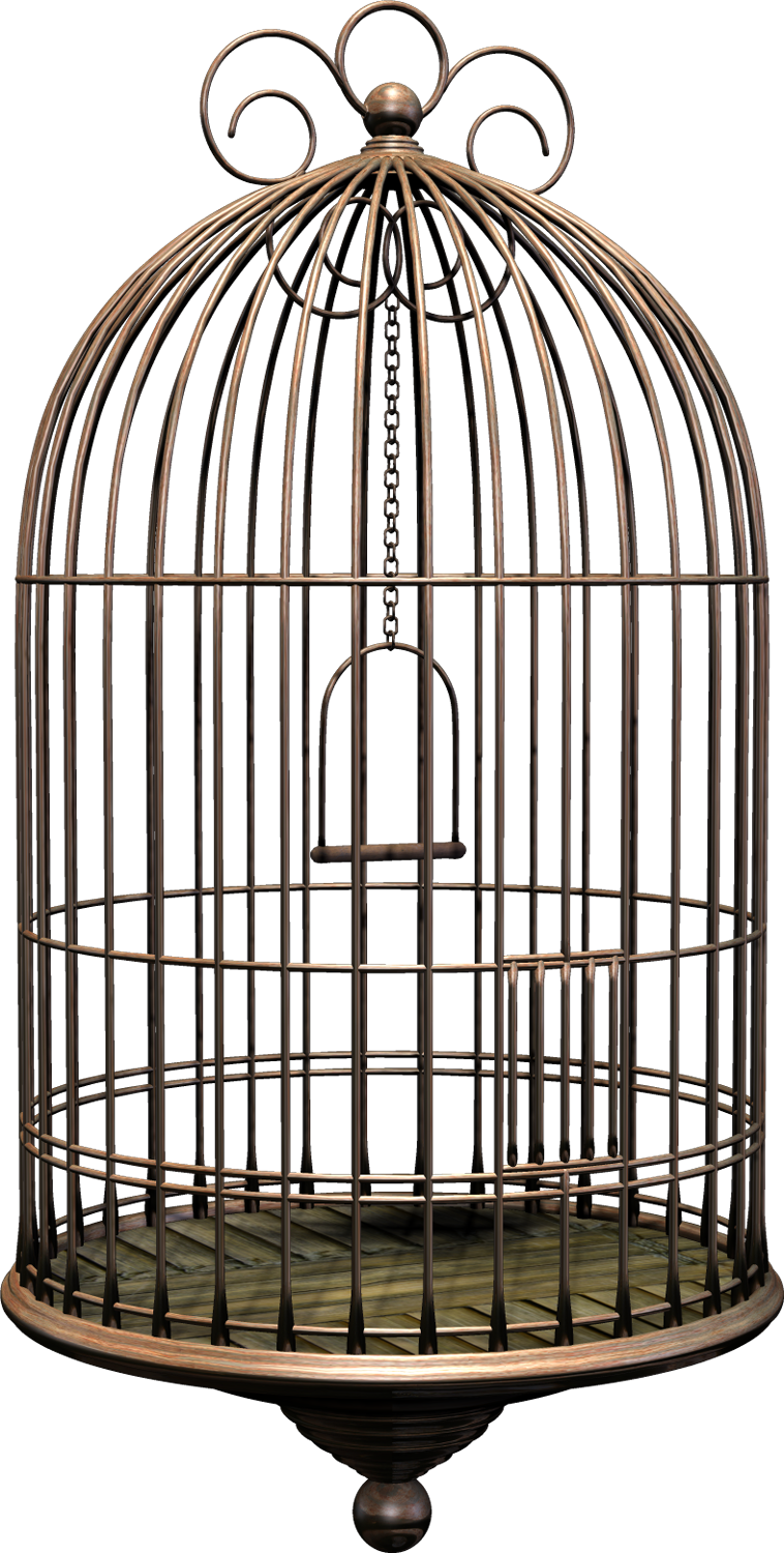 Detail Bird Cage Transparent Nomer 16