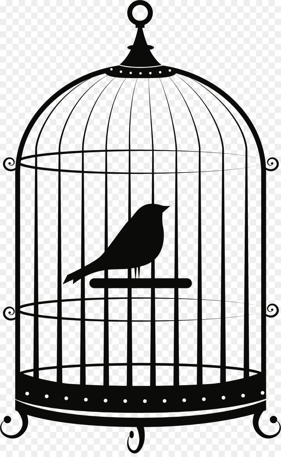 Detail Bird Cage Transparent Nomer 17