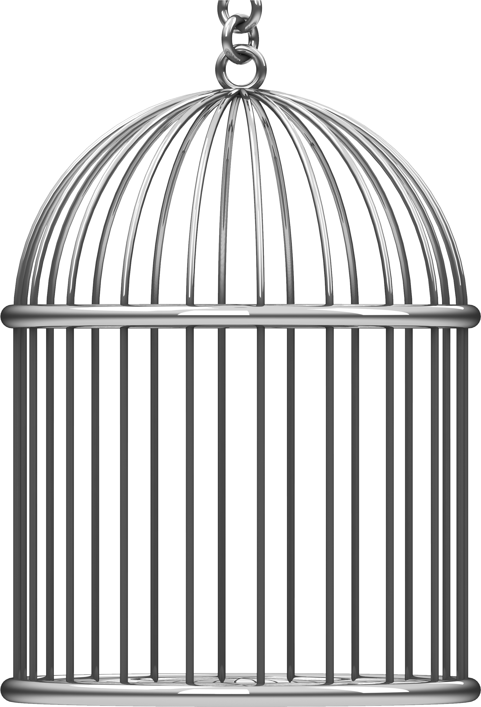 Detail Bird Cage Transparent Nomer 18