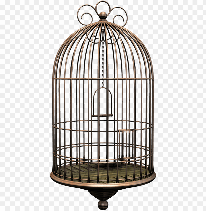 Detail Bird Cage Transparent Nomer 3