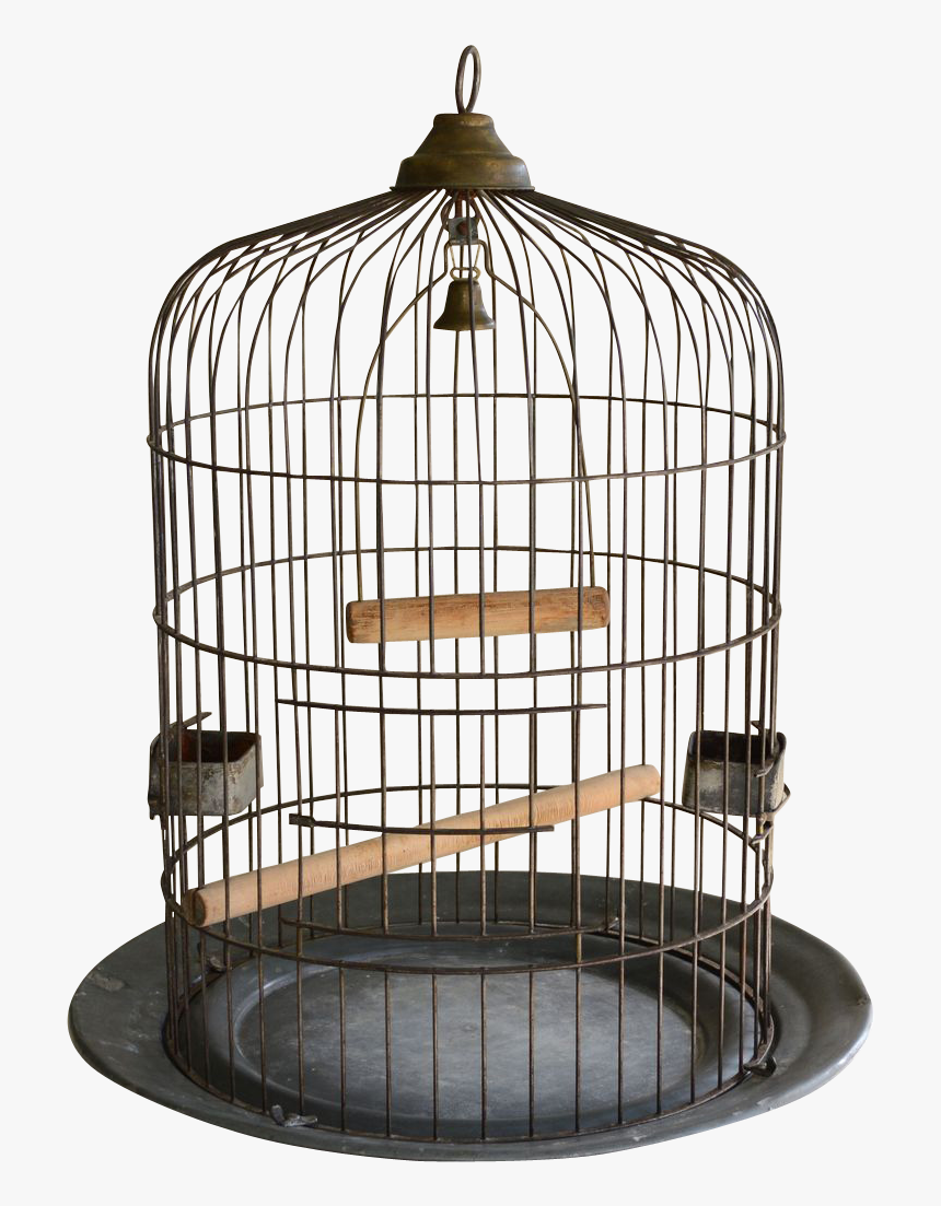 Detail Bird Cage Transparent Nomer 23