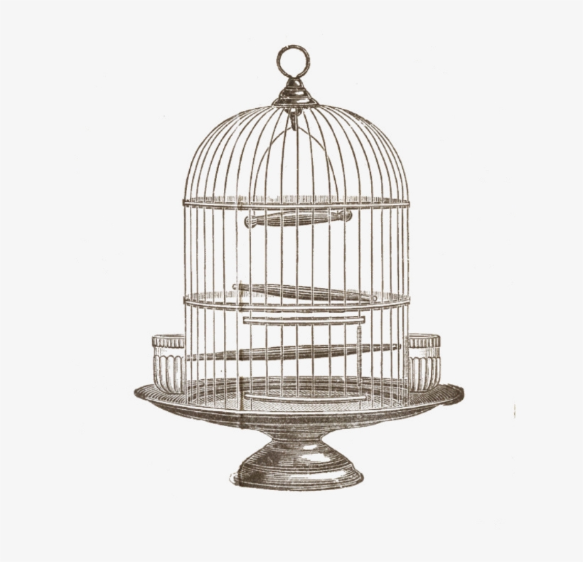 Detail Bird Cage Transparent Nomer 26