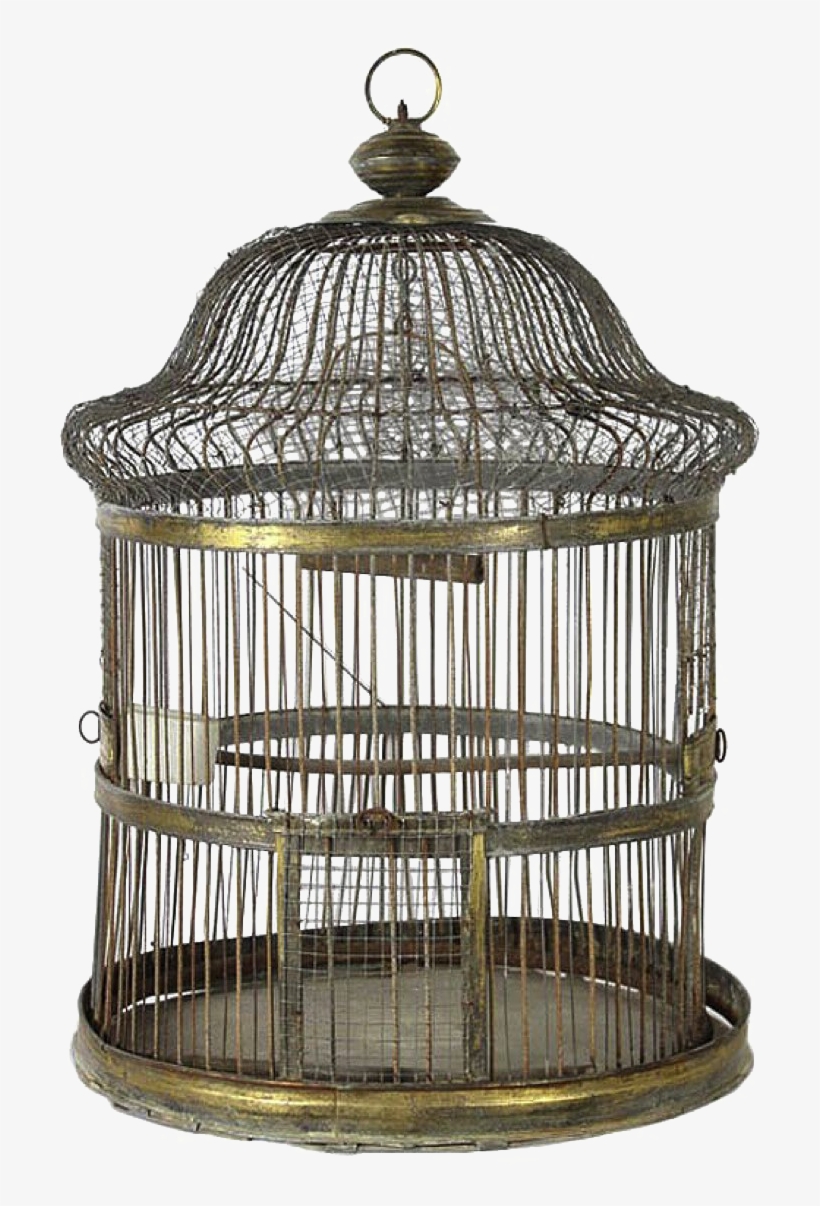 Detail Bird Cage Transparent Nomer 27